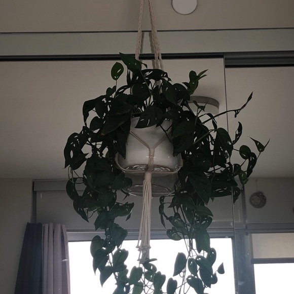 Macrame Plant Hangers - Picture 4 of 4